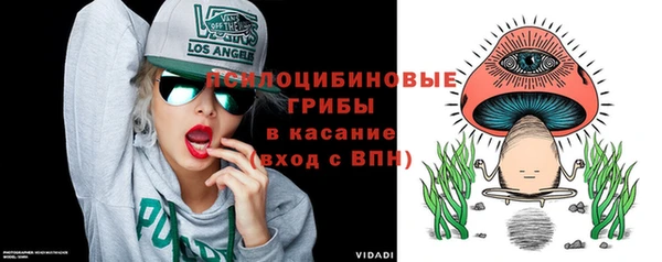 mdpv Бородино