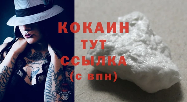 mdpv Бородино