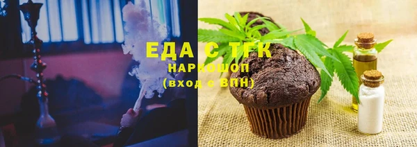 mdpv Бородино