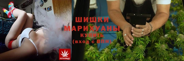 mdpv Бородино