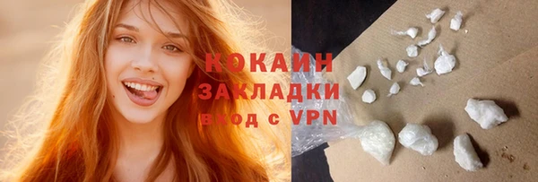 mdpv Бородино