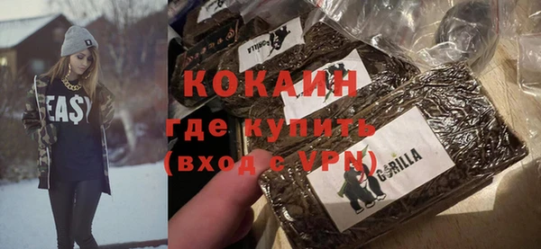 mdpv Бородино