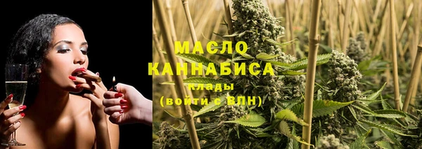mdpv Бородино