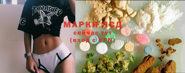 mdpv Бородино