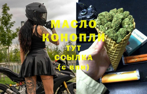 mdpv Бородино